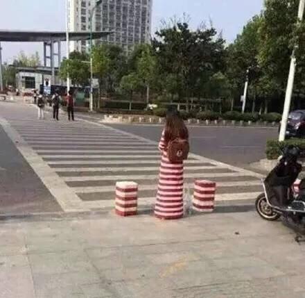 隔离墩成精了